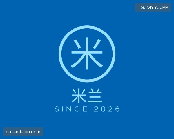 关于米兰世界杯